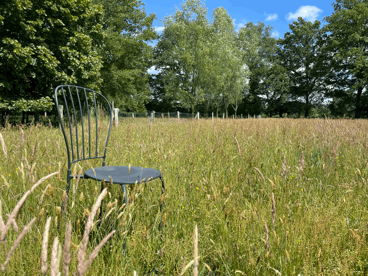 Garten- und Landschaftstherapie im integrativen Verfahren®