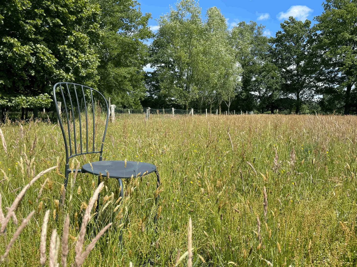 Garten- und Landschaftstherapie im integrativen Verfahren®